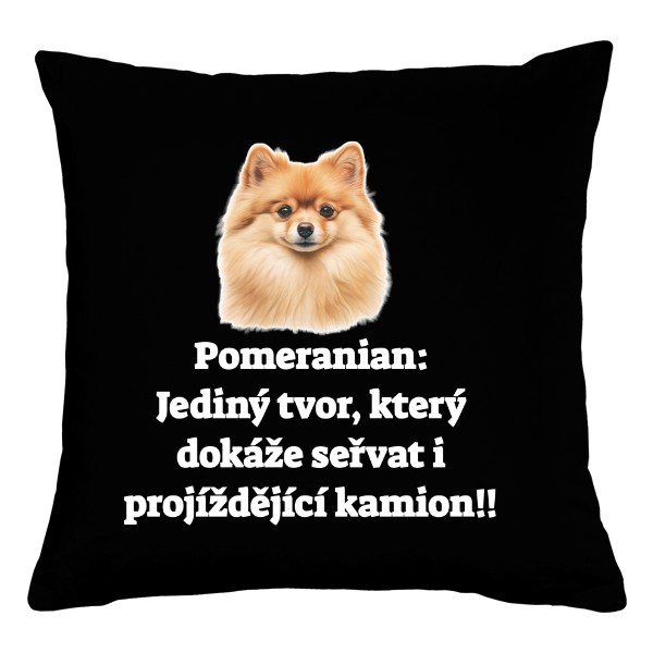 Pomeranian vs kamion 